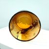 Handgefertigtes Edo-Kiriko-Kristall-Whiskyglas „Kiefer & Kranich“ mit Holzbox Edo Kiriko Pine & Crane Crystal Whisky Glass with Wooden Box - 3