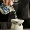 Blue & White Butterfly Porcelain Gongfu Tea Set - Elegant Chinese Tea Service - 4