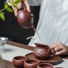 Handgefertigtes Yixing-Zisha-Teeset mit Wolkenmotiv Cloud Motif Handcrafted Yixing Purple Clay Tea Set - 5