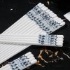 INGRI Blue & White Porcelain Bone China Chopsticks Set with Holder - 4
