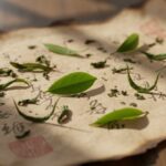 Antique Chinese tea leaves on a weathered scroll representing the 1391 Ming decree.